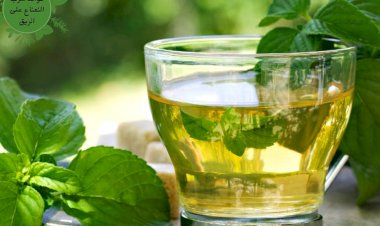 بعيدا عن المعدة .. النعناع علاج لمشكلة صحية منتشرة بكثرة