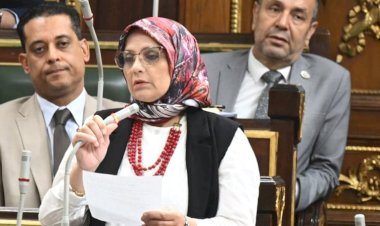 برلمانية: أهمية التوازن بين تنمية الاقتصاد وحماية استقرار الخدمات للمواطنين