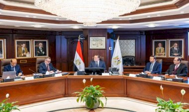"محافظ البنك المركزي ووزير التخطيط يبحثان دعم استقرار الاقتصاد المصري"