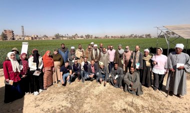 ضمن استراتيجية هيئة الرقابة المالية.. معهد الخدمات المالية في جولة ميدانية بأسيوط لاستعراض الخدمات المالية غير المصرفية