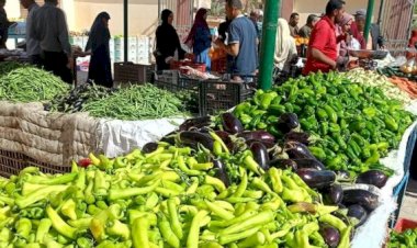 أسعار الخضار والفاكهة في الأسواق اليوم الاربعاء