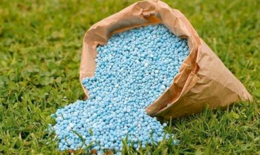 "الزراعة": استقرار كامل في إمدادات الأسمدة المدعمة ولا نقص في الحصص